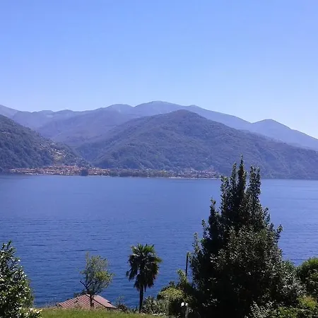 Vanni's House