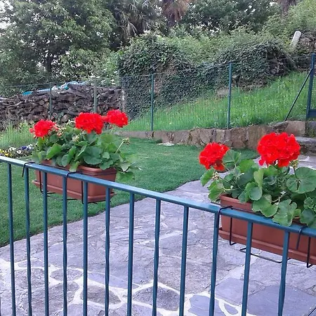 Vanni's House شقة *
