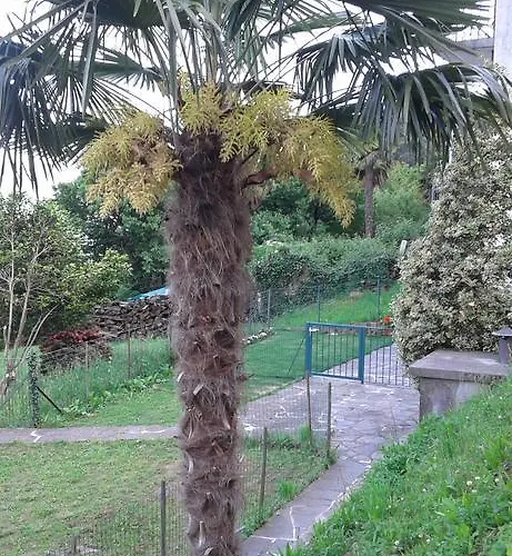 Lägenhet Vanni's House Cannobio