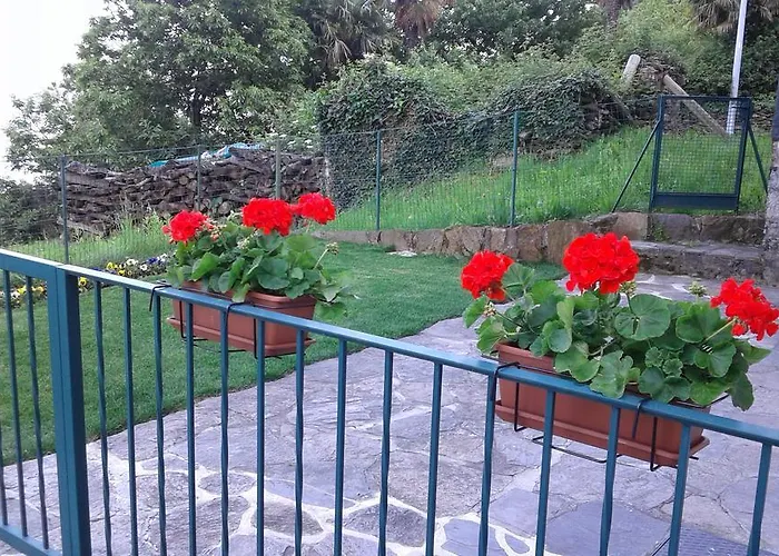 Vanni's House 아파트 *